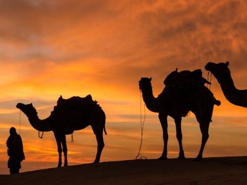 Desert sand dunes dubai native